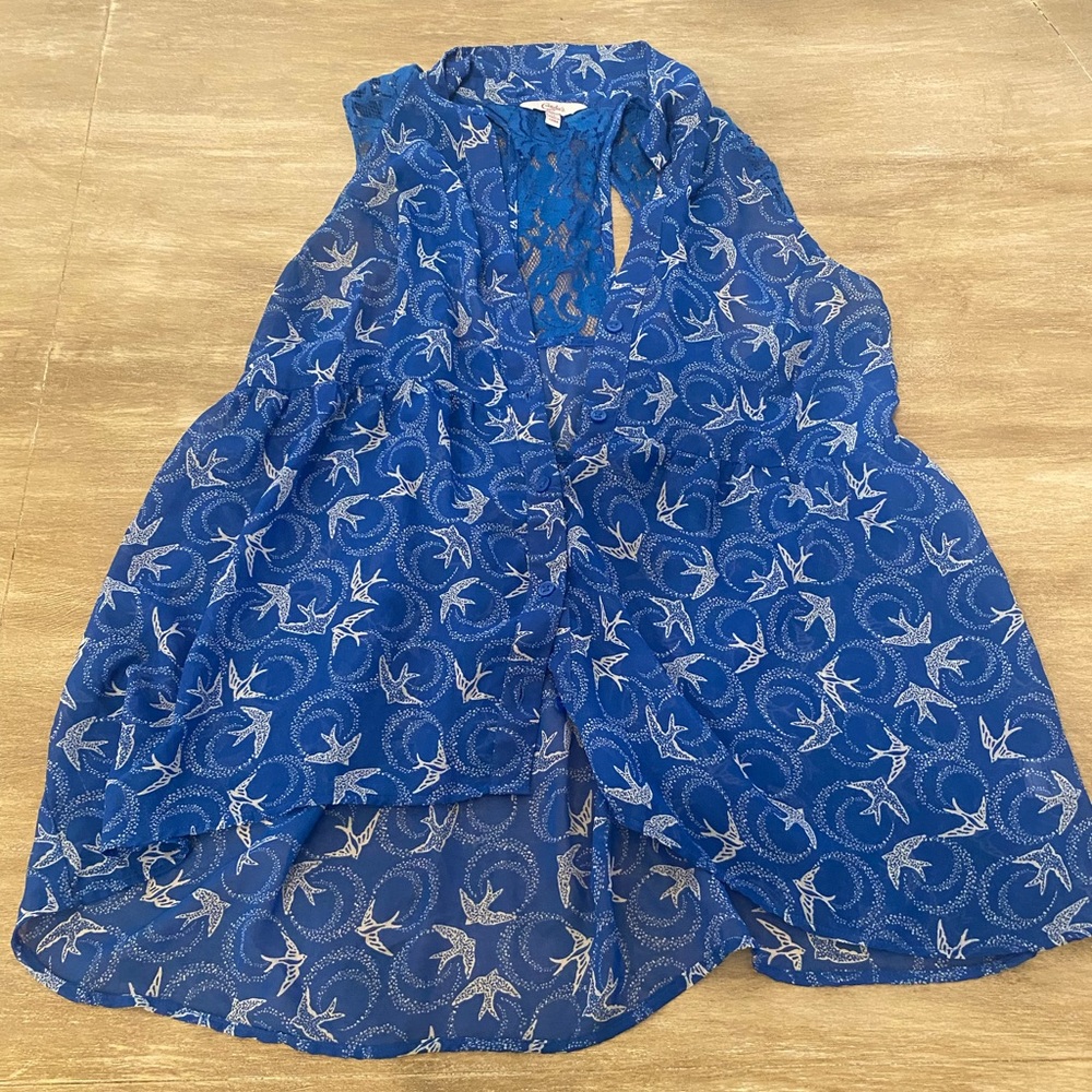 Blue sheer top